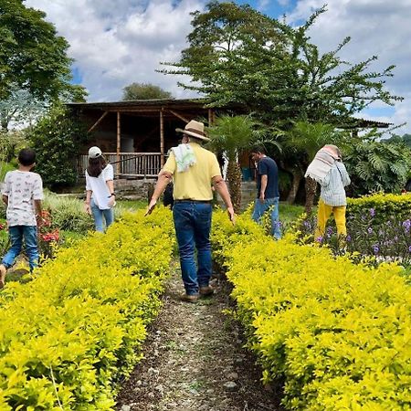 Hacienda Cafetera La Gaviota Villa Chinchiná Екстериор снимка