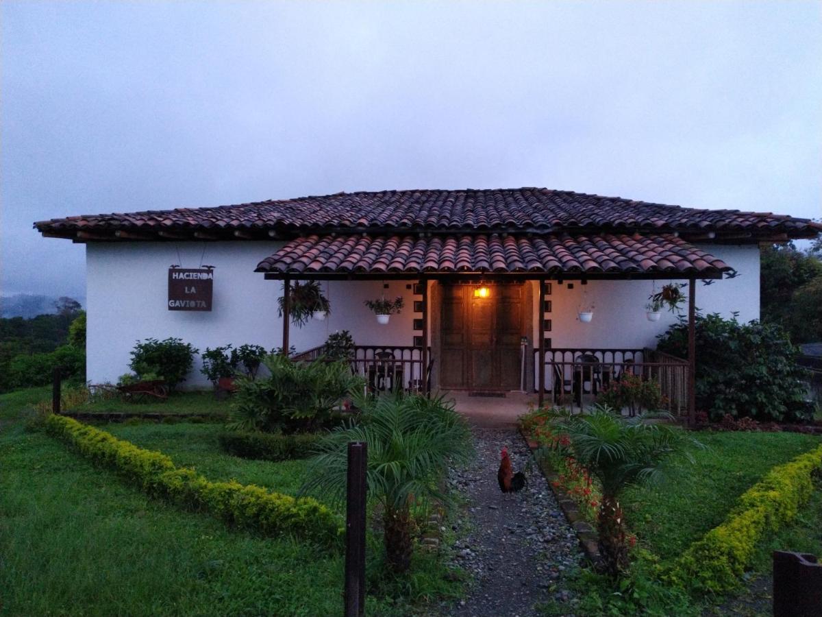 Hacienda Cafetera La Gaviota Villa Chinchiná Екстериор снимка